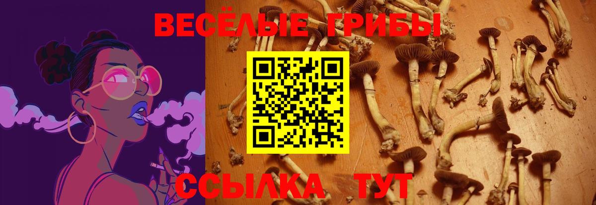 Псилоцибиновые грибы MAGIC MUSHROOMS  Вход с VPN  Выборг 