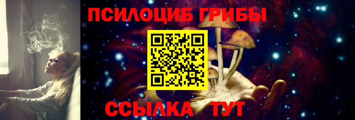 Галлюциногенные грибы Magic Shrooms Выборг